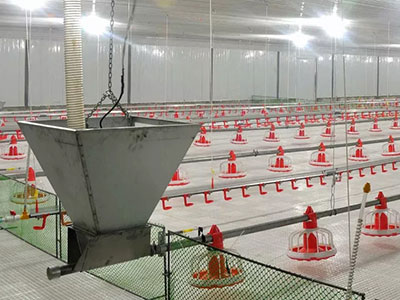 línea-de-alimentación-6