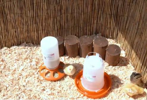 cucharón alimentador