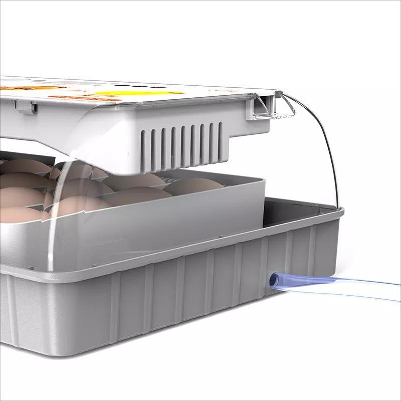 Dispositivo de llenado de agua externo, incubadora automática de huevos de gallina, capacidad para 20 huevos