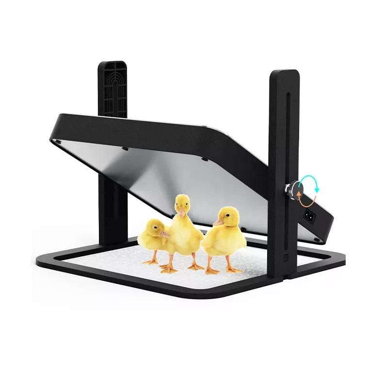 Placa calefactora para pollitos, puente levadizo para aves de corral y cubierta de placa criadora con incubadora de huevos de altura ajustable