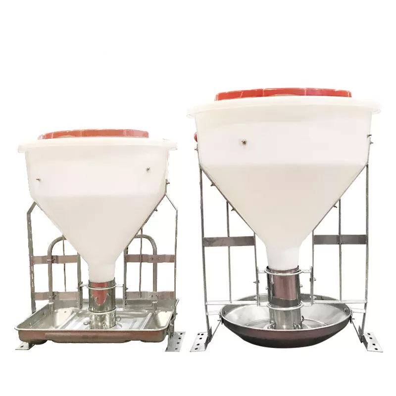 Alimentador automático de cerdos seco-húmedo para equipos ganaderos de granjas porcinas