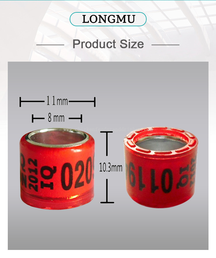 anillo para patas de paloma (4)
