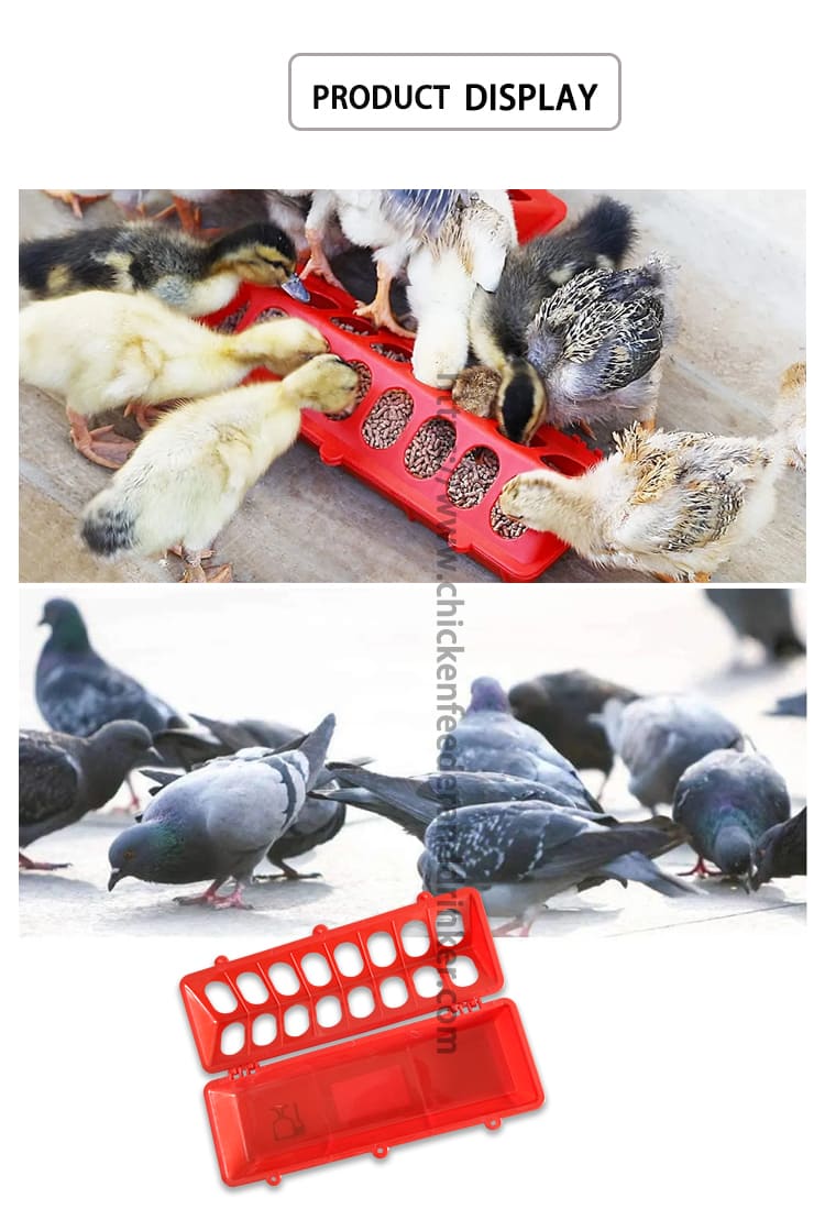 EQUIPO PARA POLLO