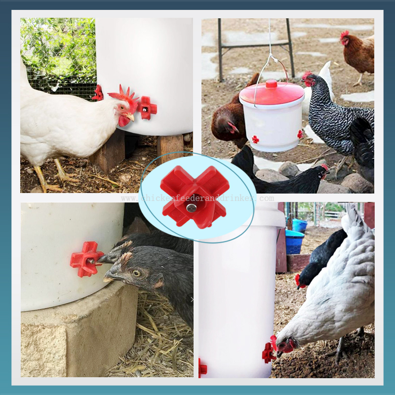 bebedero de tetina para pollo (7)