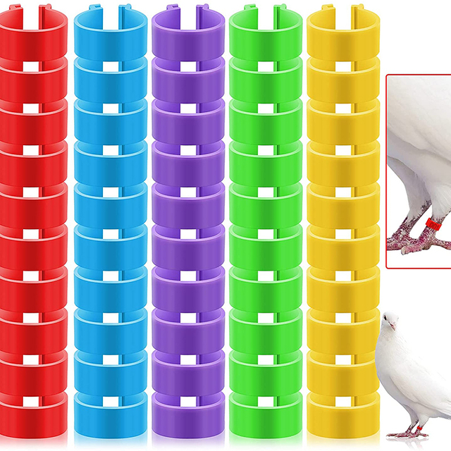 Anillos ajustables para patas de pollo, anillos de tobillo de pollo con clip multicolor, anillos para patas de pollo para aves de corral, patos, pollitos, palomas de Guinea, ganso, aves de juego LMA-09