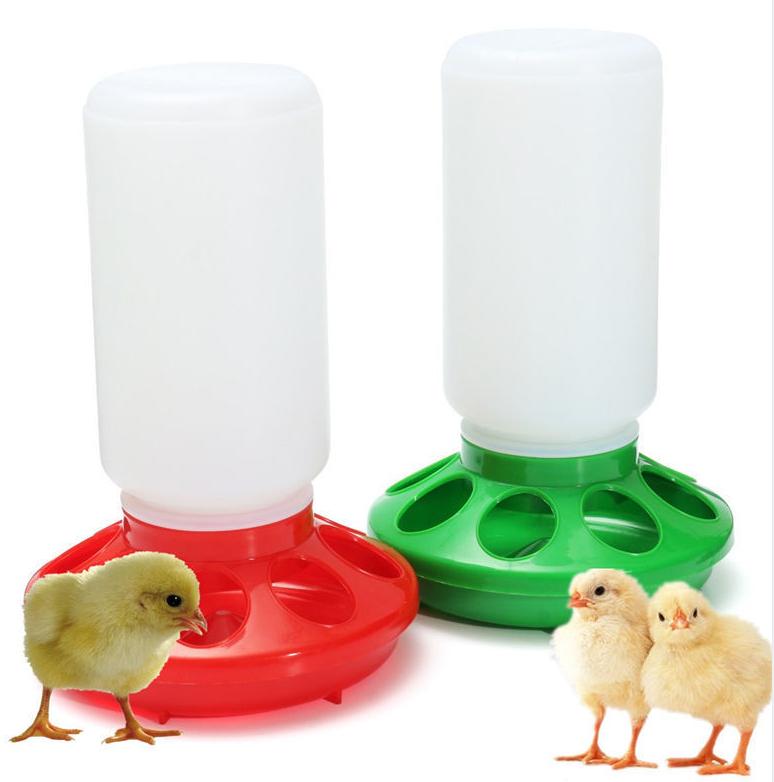 comedero para pollos 8