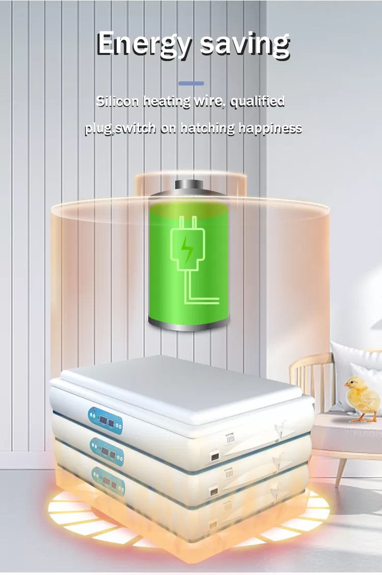 incubadora de huevos (3)