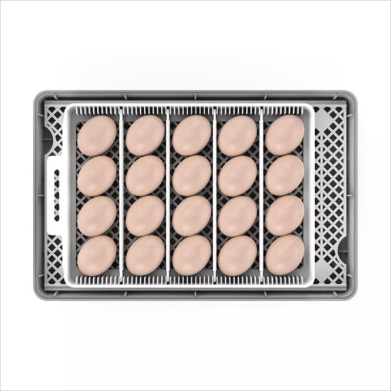 Dispositivo de llenado de agua externo, incubadora automática de huevos de gallina, capacidad para 20 huevos