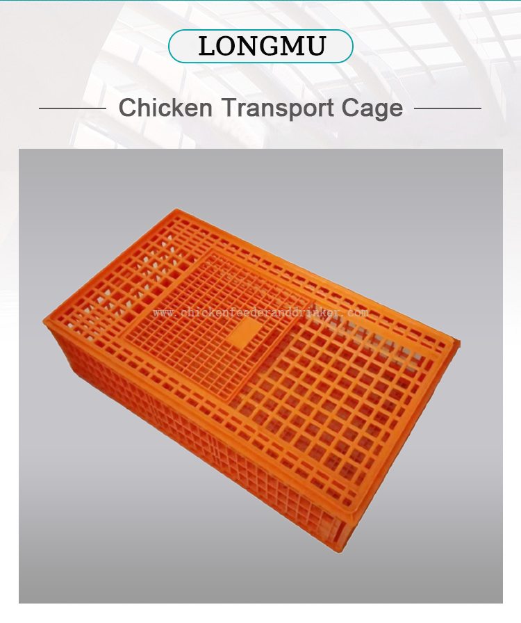 caja de transporte (1)