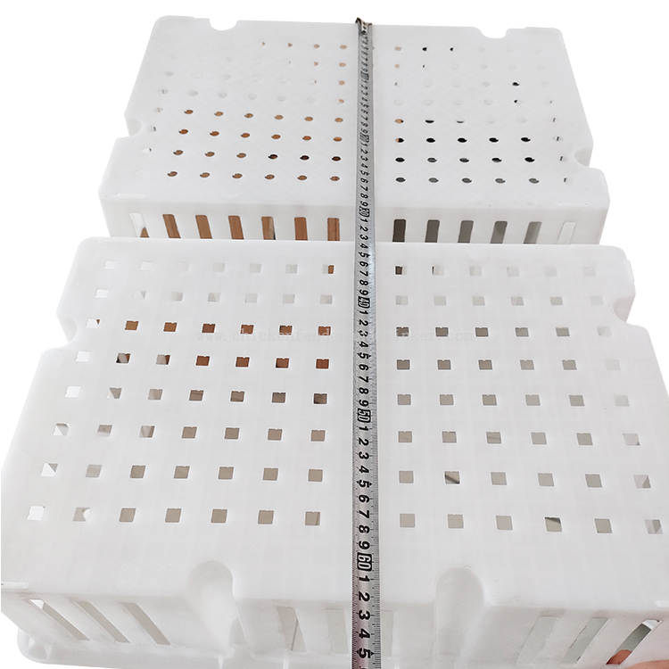 Jaulas de plástico para transporte de pollitos, cajas de transporte para aves de corral, jaula de transferencia, cubos para pollos, caja de transporte para pollitos LMC-11
