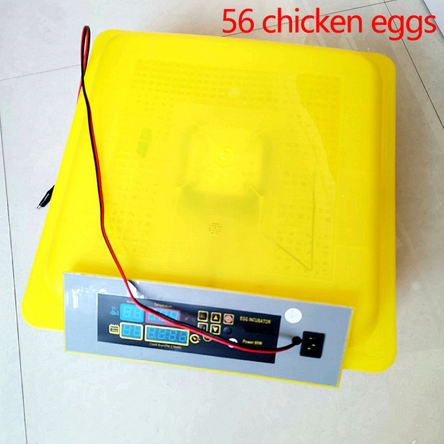 Mini incubadora de huevos completamente automática, máquina para incubar huevos para 56 incubadoras de huevos de gallina, incubadoras de huevos para el hogar