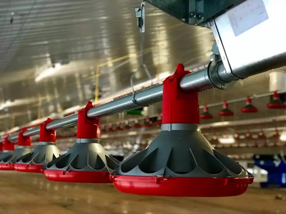 Tubo de alimentación de pollo SS para granja avícola, tubo de alimentación galvanizado por inmersión para sistema de alimentación de pollo LML-37