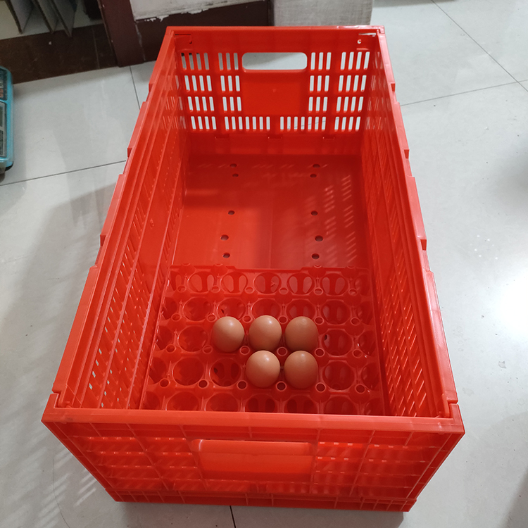 caja de transporte de huevos (2)
