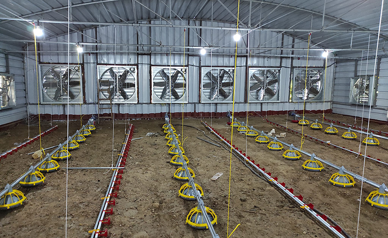 línea de alimentación