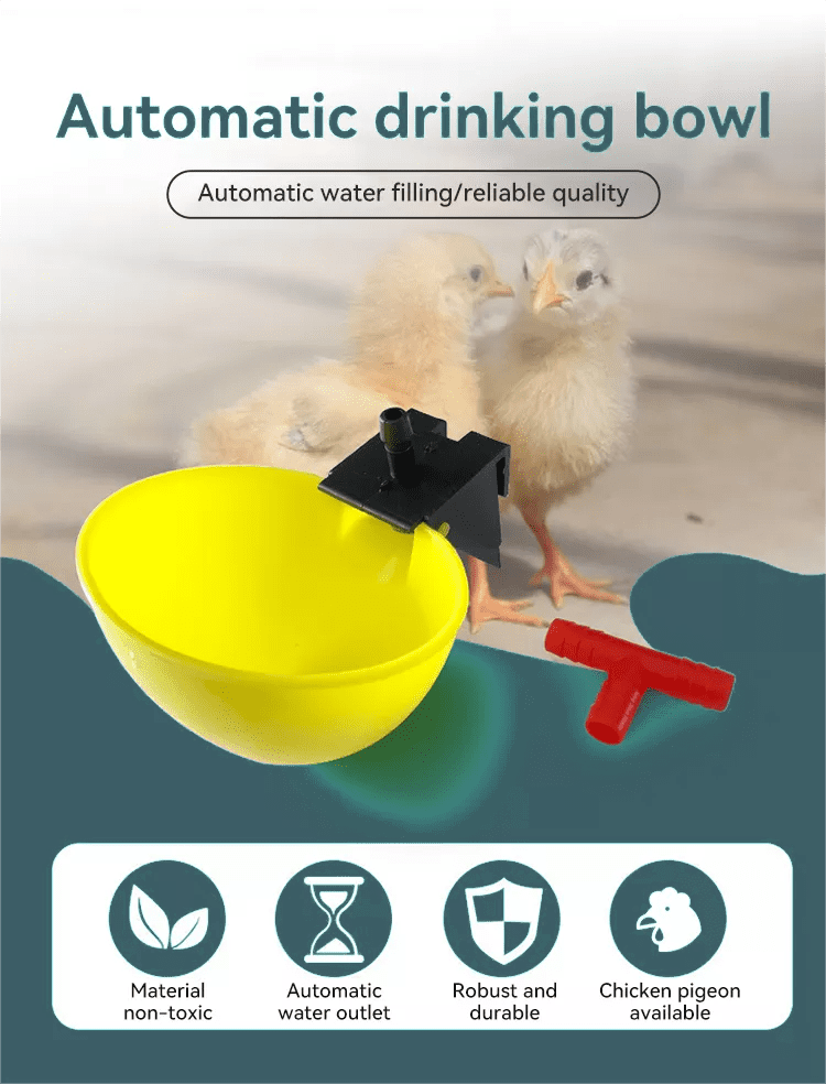 bebedero para aves (4)