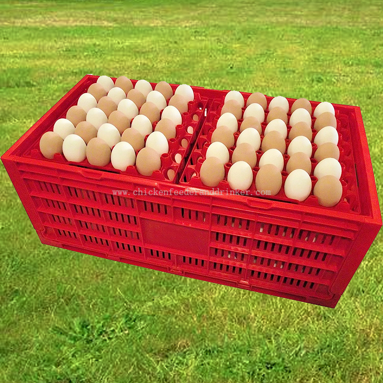 caja de transporte de huevos (3)