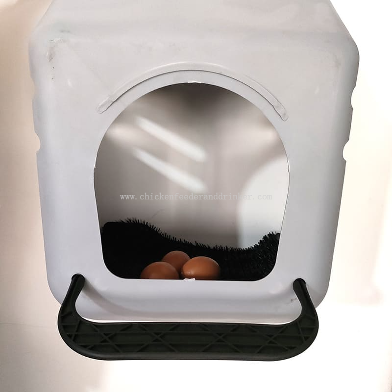 tapete para huevos (4)