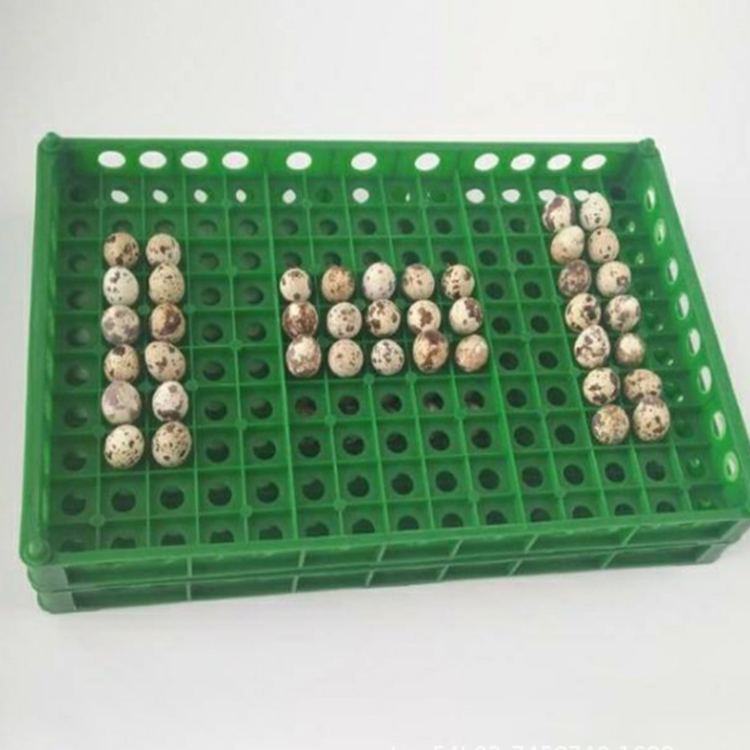 Caja de huevos de paloma