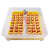 Incubadora de huevos completamente automática, Mini máquina para incubar huevos para 48 incubadoras de huevos de gallina, incubadoras de huevos para el hogar