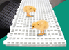 Ganado Cerdo Cabra Ovejas Piso de listones de plástico Aves de corral con fugas Piso de estiércol Tablero de estiércol con fugas de pollo de plástico Pato y ganso para gallinero Jaula para pollos LML-55