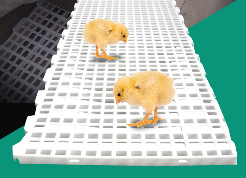 Ganado Cerdo Cabra Ovejas Piso de listones de plástico Aves de corral con fugas Piso de estiércol Tablero de estiércol con fugas de pollo de plástico Pato y ganso para gallinero Jaula para pollos LML-55