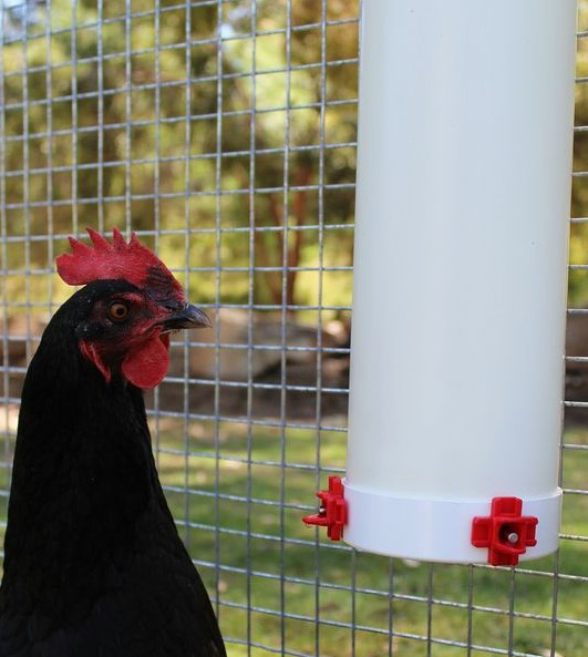Bebedero y comedero de tubo colgante Cubo de alimentación para aves de corral con cubierta para lluvia Dispositivos de alimentación automática para gallinero Cubo de agua con taza de válvula
