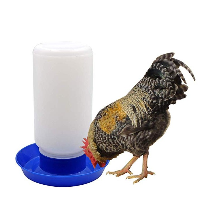comedero para pollos
