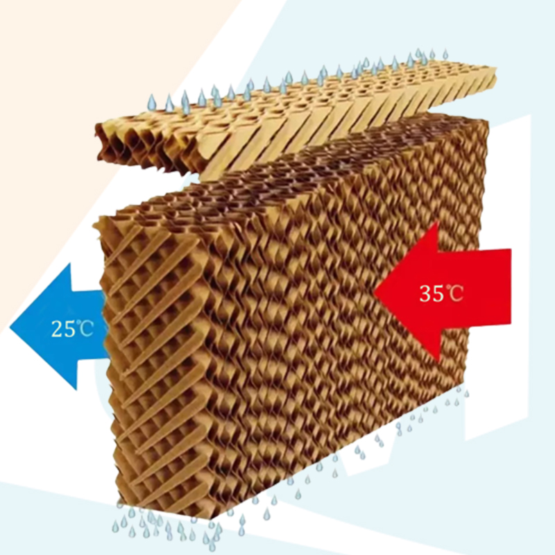 Línea de alimentación de pollos con tapete de enfriamiento, almohadilla de enfriamiento hecha con papel Kraft Skyplant o cortina húmeda para granja de pollos