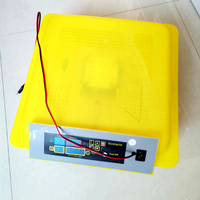 Incubadora de huevos completamente automática, Mini máquina para incubar huevos, incubadoras de huevos de gallina para 24, 36, 48, 56, 96, 112, incubadoras de huevos para el hogar