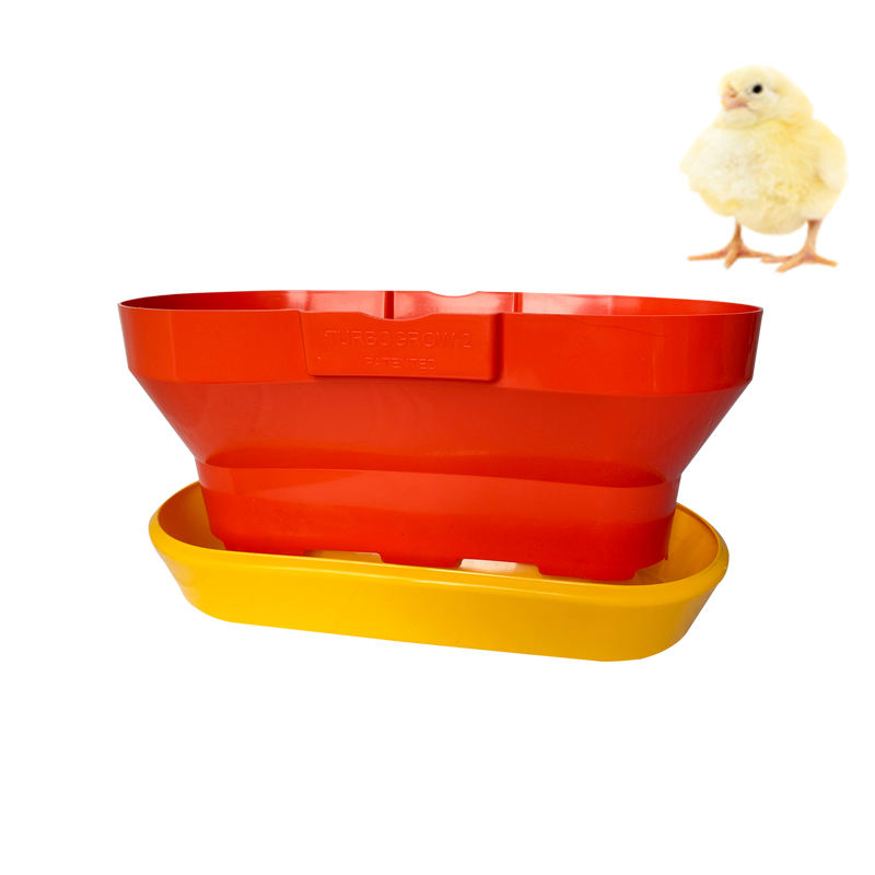 comedero para pollos 