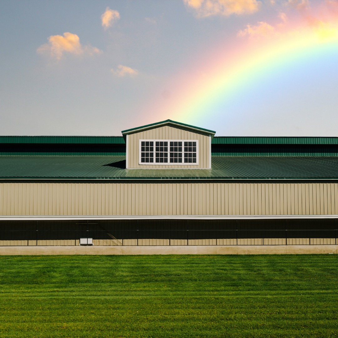 Los pasos para incubar polluelos con una incubadora de huevos