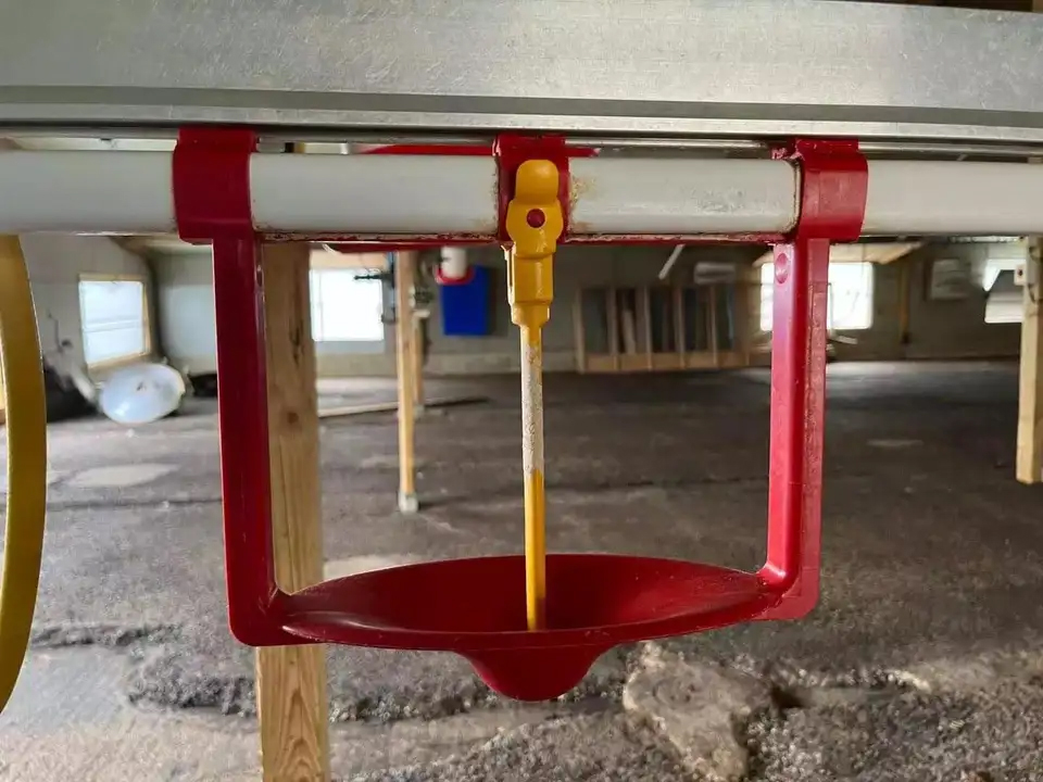 Bebedero automático para pavo, vaso lubricante para bebedero de pato, equipo para granja avícola, LM-125