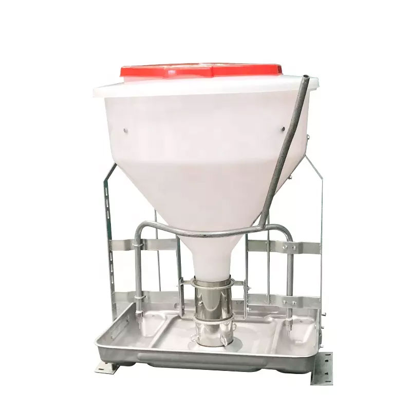 Alimentador automático de cerdos seco-húmedo para equipos ganaderos de granjas porcinas