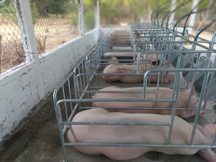 345321557_616366527207979_2516907744791004931_n